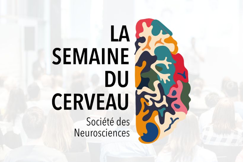 Présentation la semaine du cerveau