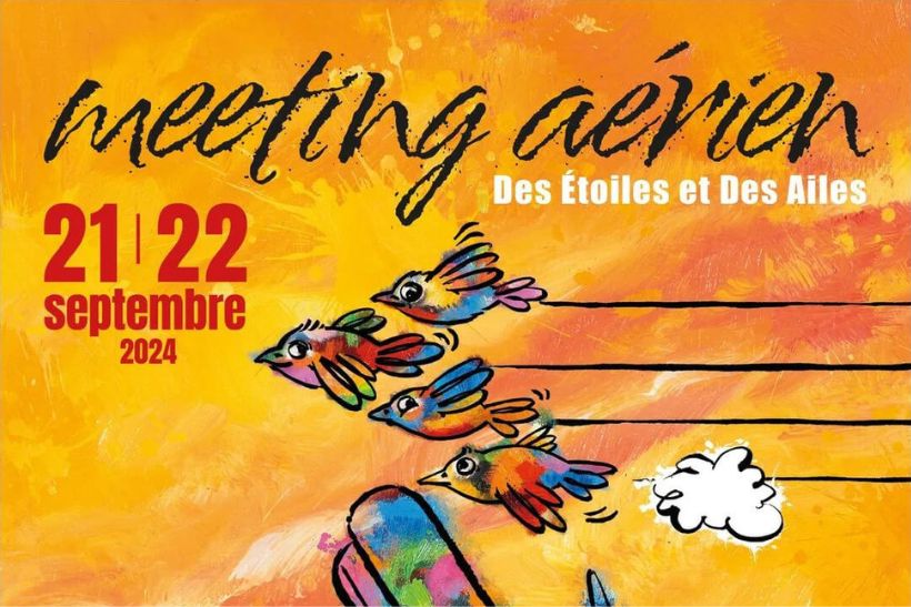 Des etoiles et des ailes