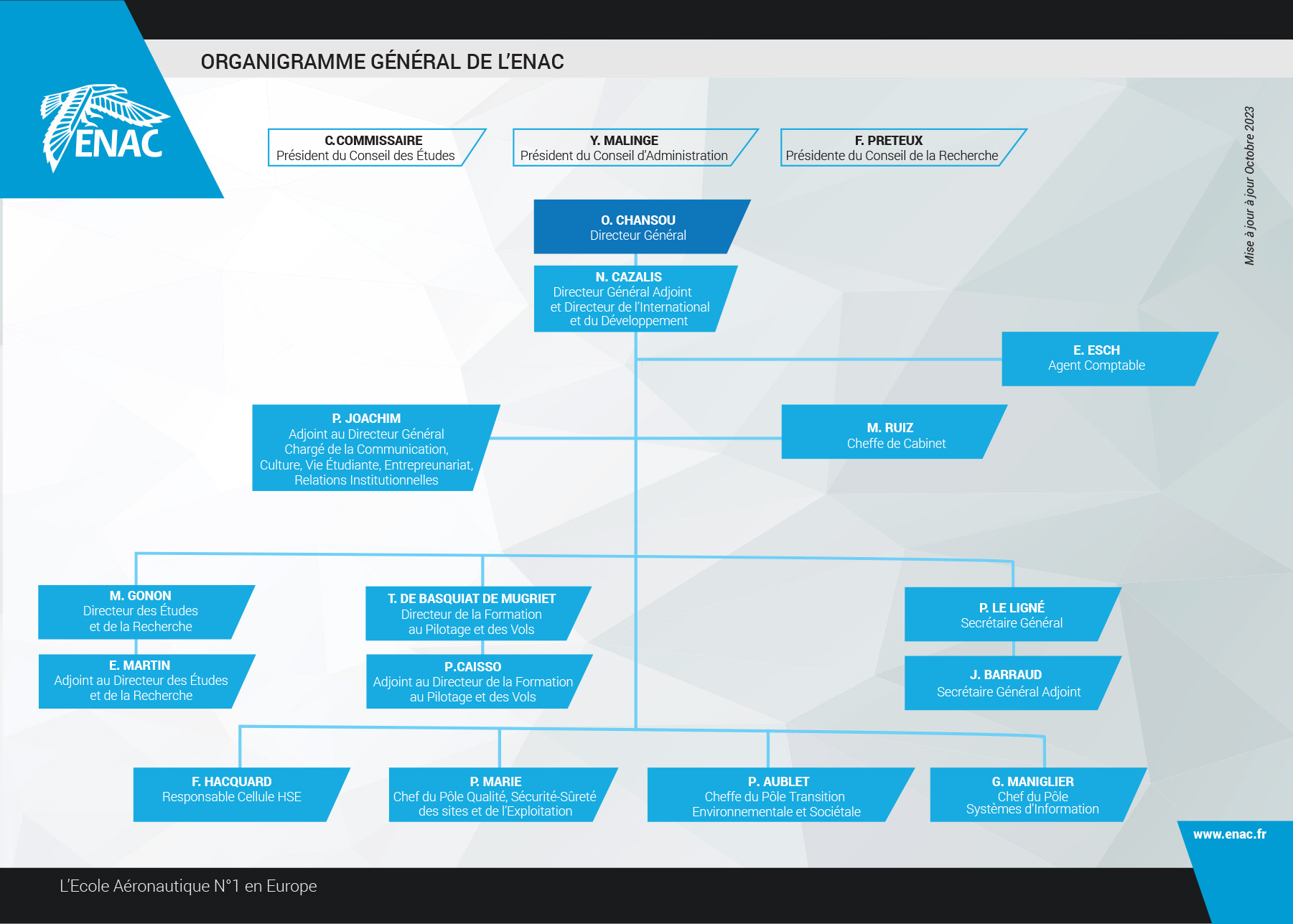 Organigramme